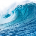 Морские ноты
